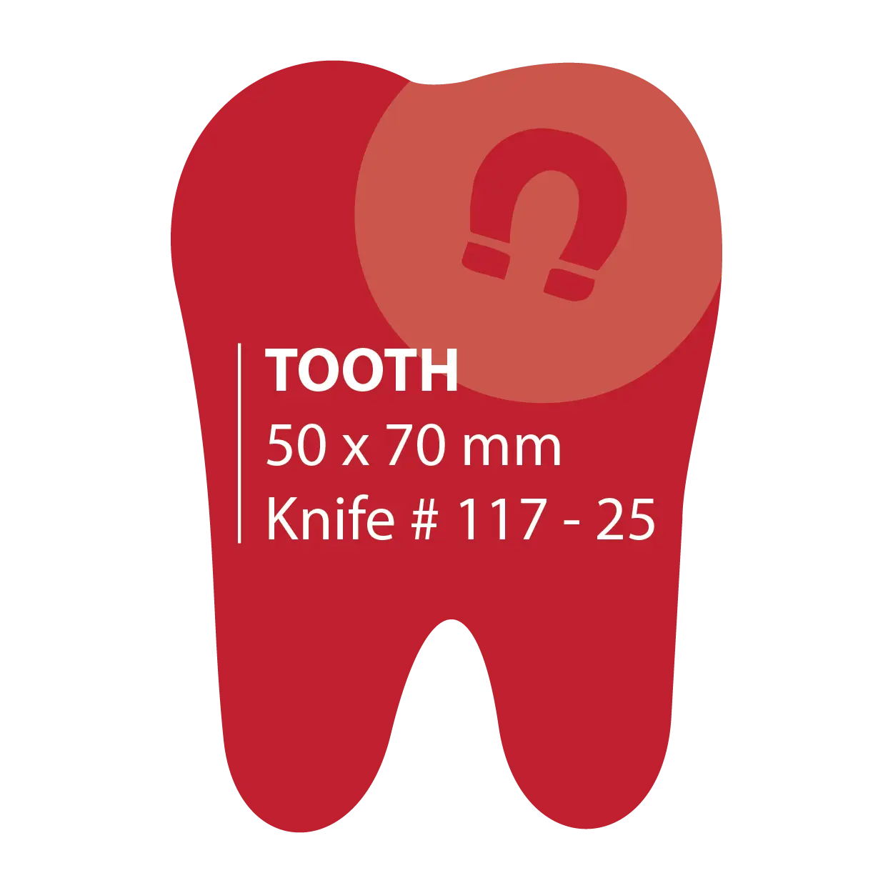 50 x 70 Tooth Magnets